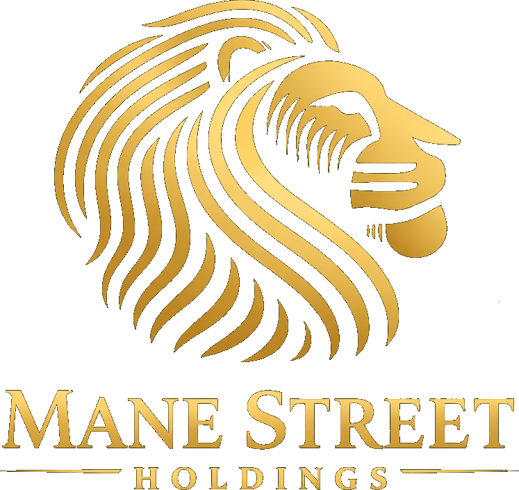 Mane Street Holdings Mane Street Holdings